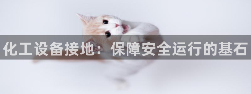 新城平台负责人是谁
