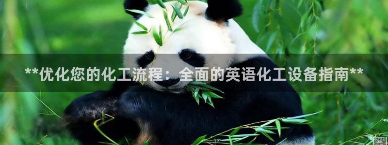 新城平台注册网址查询