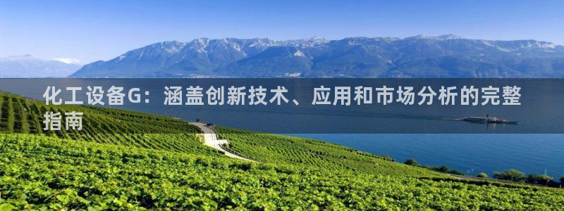 新城平台注册登录地址怎么填