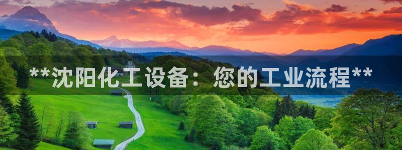 新城平台属于哪个系列