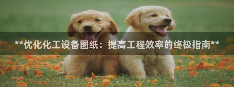 新城平台线路登录不上去了怎么回事