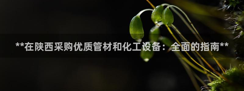 新城平台登录密码忘了怎么找回