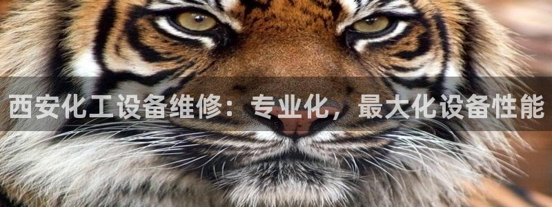 新城平台注册公司流程及费用