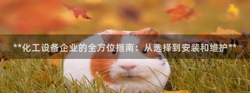 新城平台是干嘛的公司有哪些