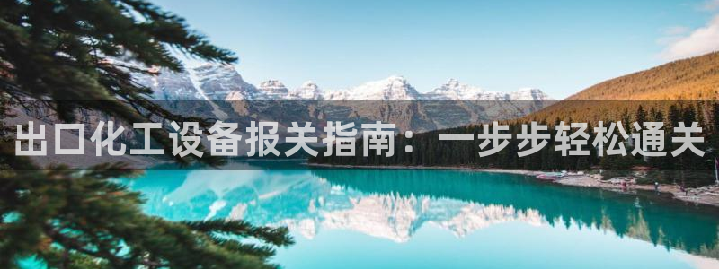 新城平台注册公司流程视频