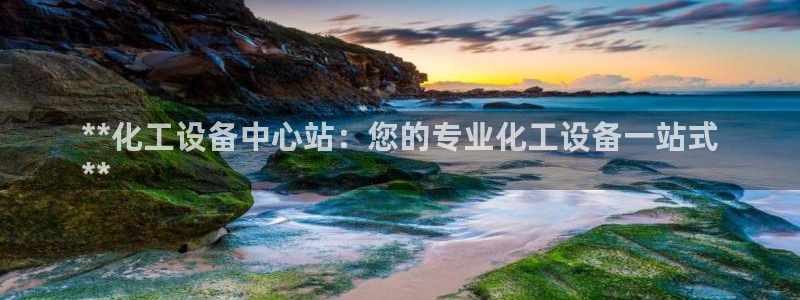 新城平台公司