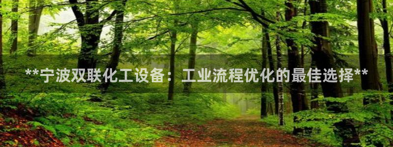 新城平台登录入口官网下载