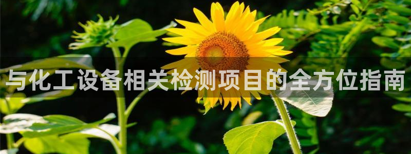 新城平台代理怎么做