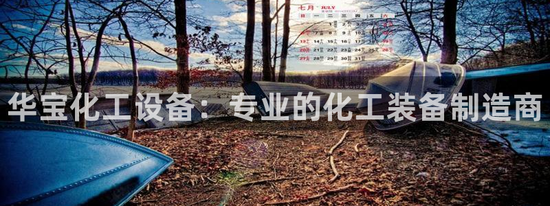 新城平台线路登录不上去了怎么办
