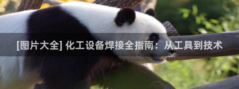 新城平台官网注册账号