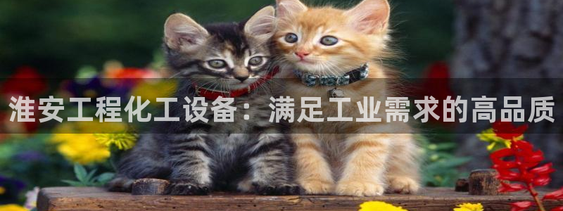 新城平台是干嘛的公司