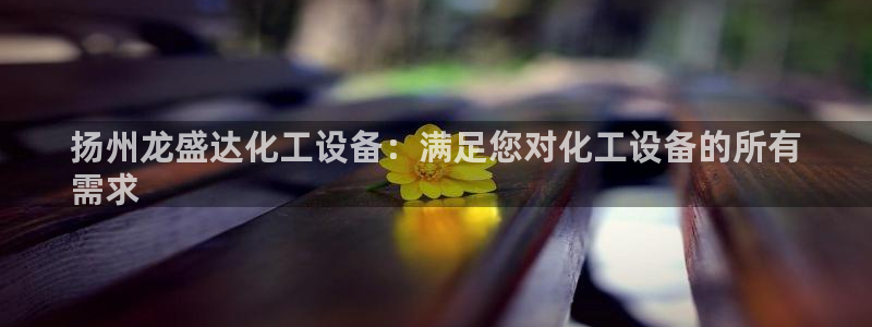 新城平台登录入口官网网址查询