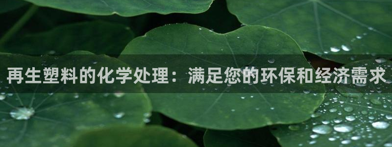 新城平台计7O777