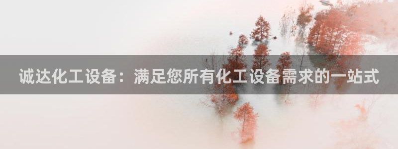 新城平台总代理是谁