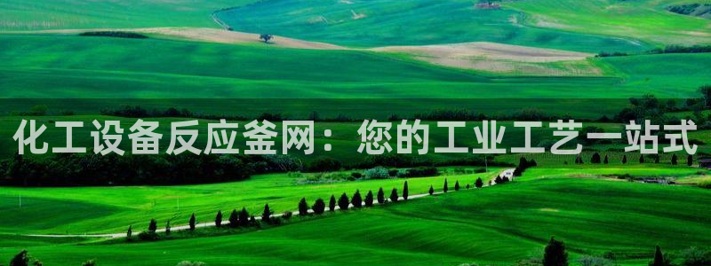 新城平台是正规平台吗