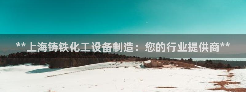 新城平台企业信息查询