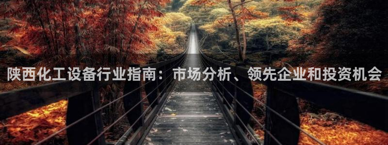 新城平台是正规平台吗