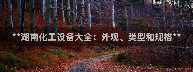 新城平台注册网址查询