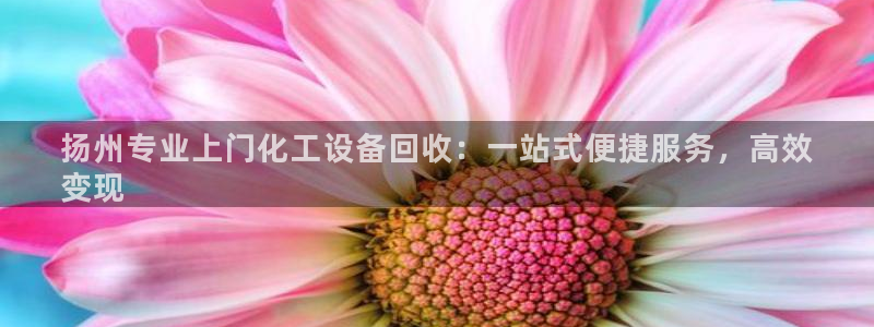 新城平台注册