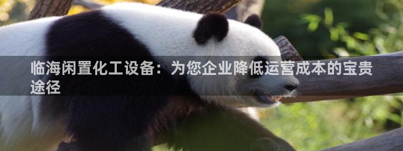 新城平台将7O777