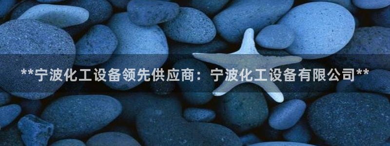 新城平台负责人