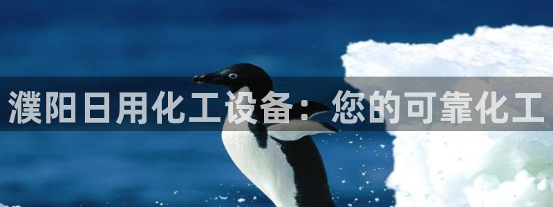 新城平台注册