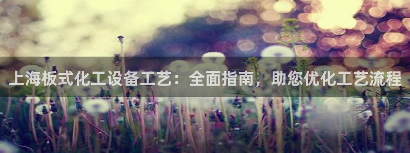 新城平台注册公司流程图