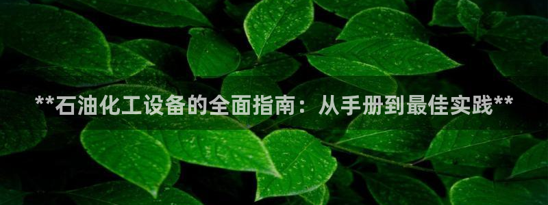 新城平台登录入口官网首页查询