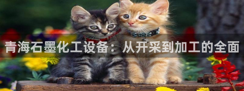新城平台代理注册条件