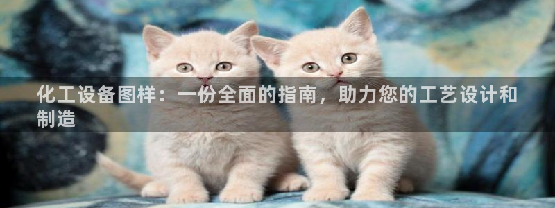 新城平台新注册
