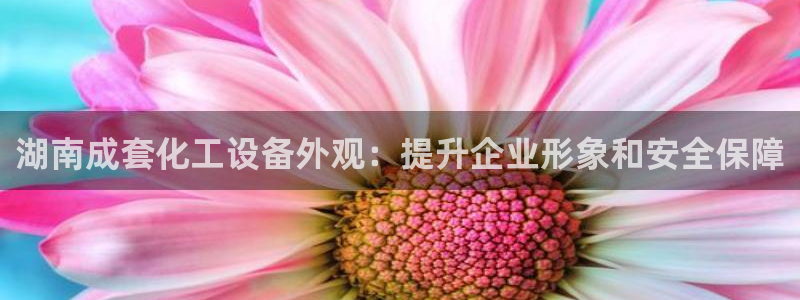 新城平台线路登录不上去怎么回事儿