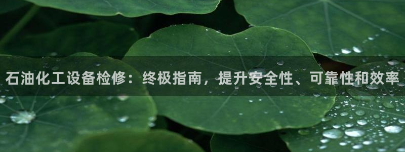 新城平台负责人名单