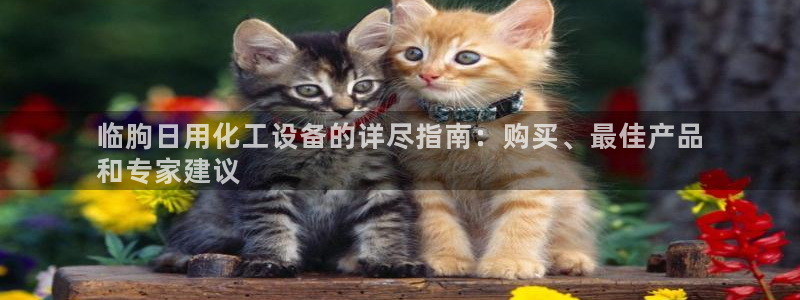 新城平台登录入口官网查询