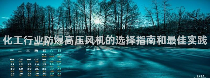 新城平台招商