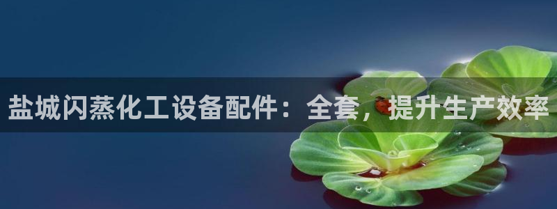 新城平台注册资金多少