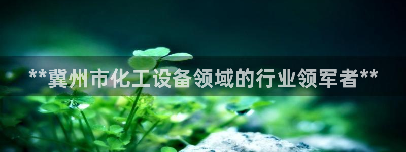 新城平台登录入口网址