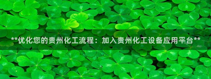 新城平台是干嘛的公司