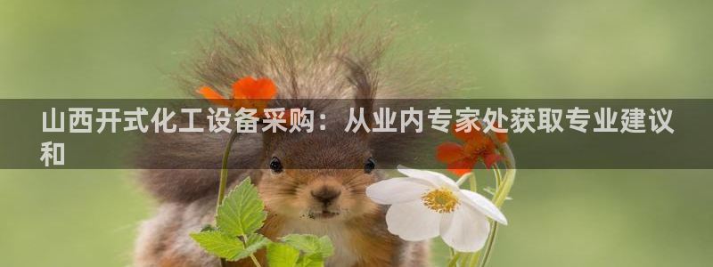 新城平台网址