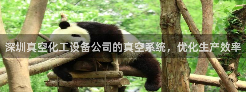新城平台注册资金多少