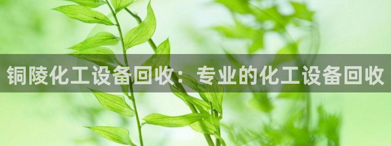 新城平台是干嘛的