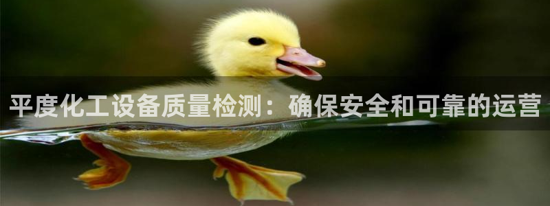 新城平台线路登录不上去