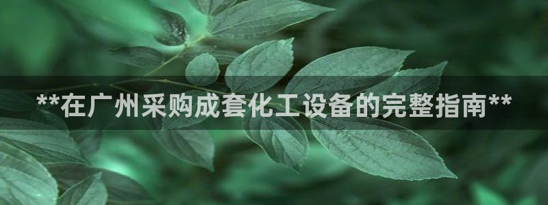 新城平台注册登录地址