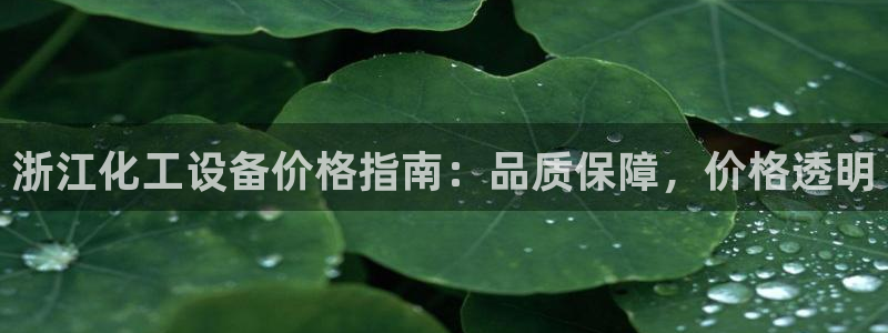 新城平台是干嘛的