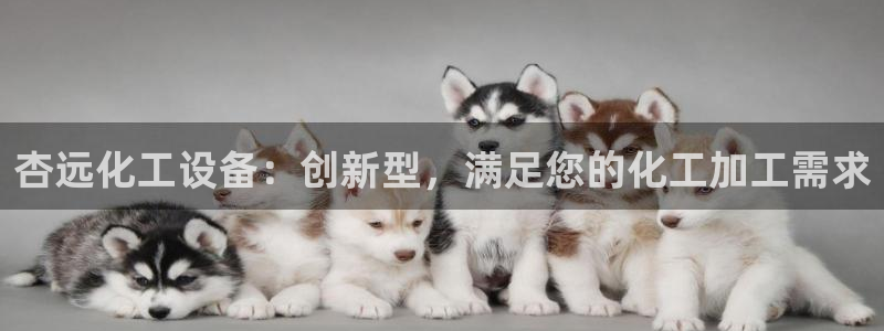 新城平台官网首页入口