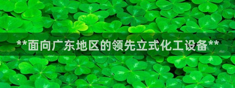 新城平台注册登录地址是什么