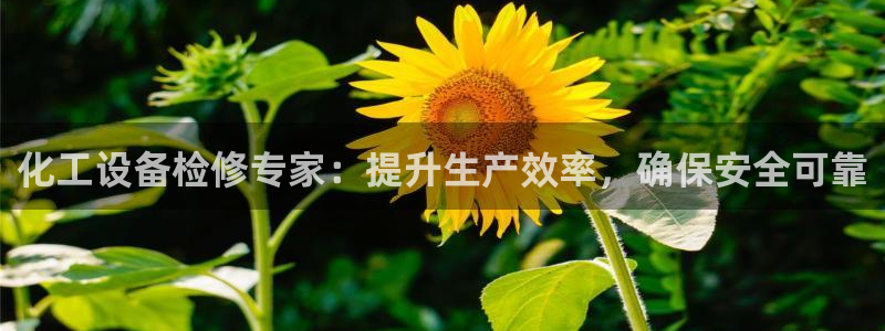 新城平台登陆