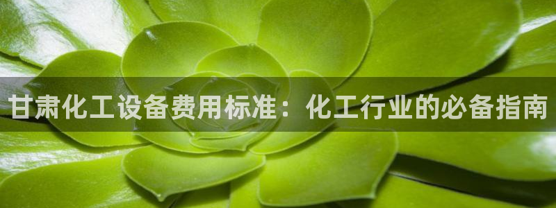 新城平台登录密码忘了怎么找回