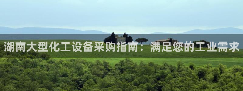 新城平台是干嘛的公司啊