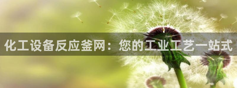 新城平台代理注册条件