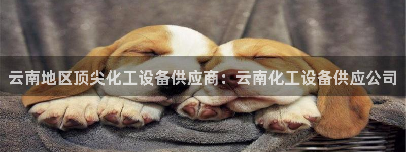 新城平台登录入口官网查询